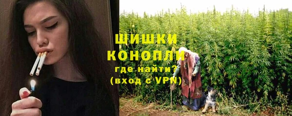 гашик Переславль-Залесский